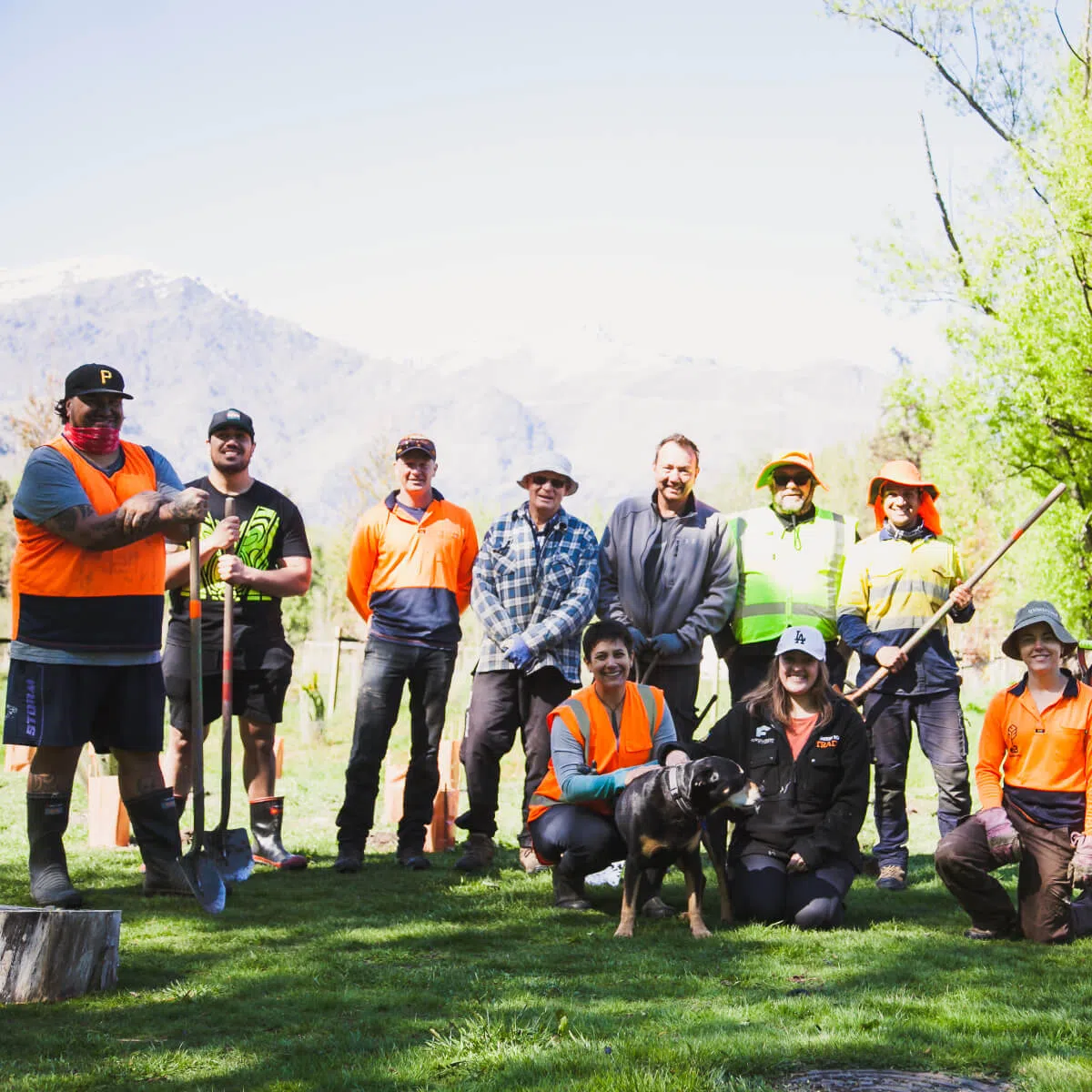 Environmental Restoration and Pest Control Services Queenstown Mana